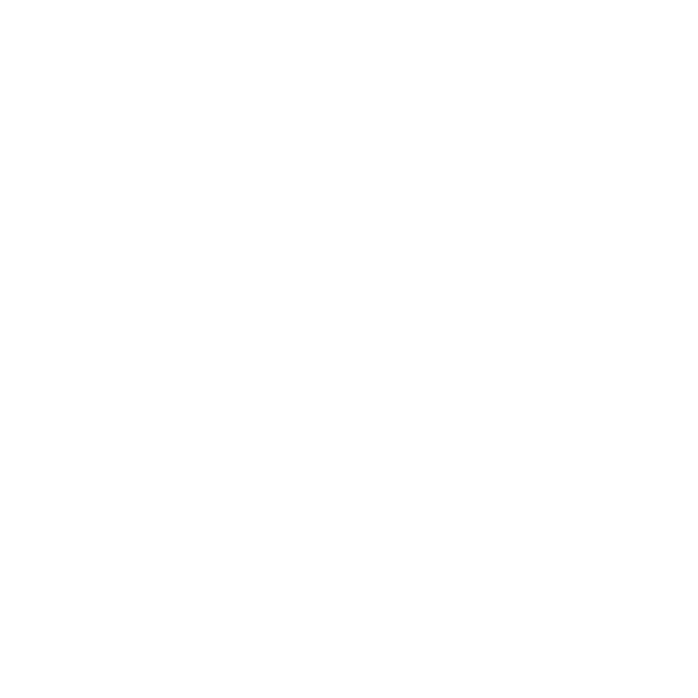 Securesil logo